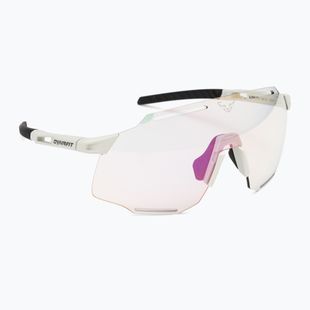 Occhiali da sole DYNAFIT Alpine Evo nimbus/black out