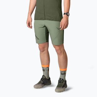 Pantaloncini da trekking DYNAFIT Transalper Light Dynastretch salvia da uomo