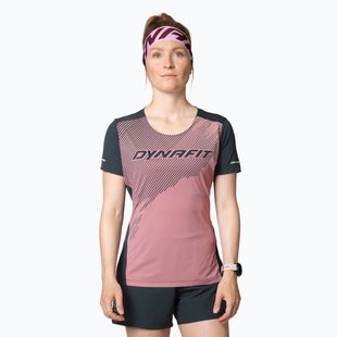 Maglietta da corsa DYNAFIT Alpine 2 Tee donna mokarosa
