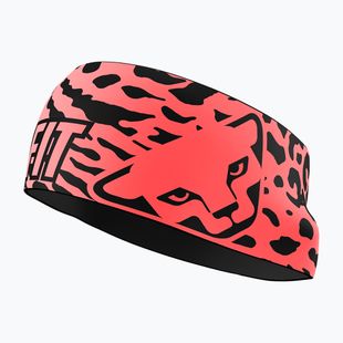 Fascia per la testa DYNAFIT Graphic Performance ultra coral/0910 leopard