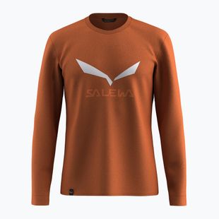 Maglia a maniche lunghe da uomo Salewa Solidlogo Dry bombay brown