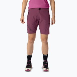 Pantaloncini da trekking da donna DYNAFIT Transalper Light Dynastretch amaranth/0910