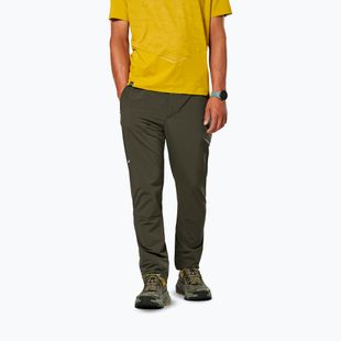 Pantaloni da trekking da uomo Salewa Pedroc 5 DST dark olive