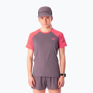 Maglia da running da donna Dynafit Alpine Pro SS Tee cabana/6A90