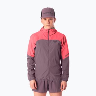 Giacca da running da donna DYNAFIT Alpine Wind cabana ephemera/6a90