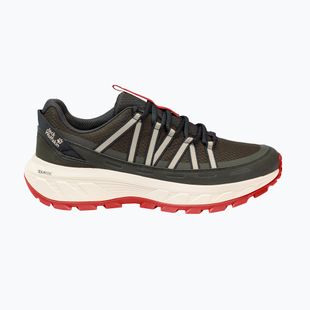 Scarpe da trekking da uomo Jack Wolfskin Wild Hike Texapore Low obsidian moss