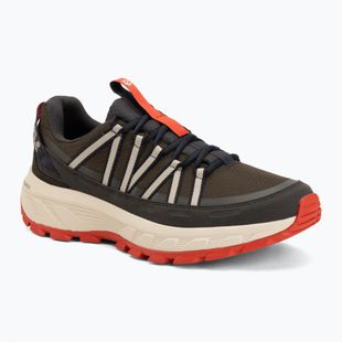 Scarpe da trekking da uomo Jack Wolfskin Wild Hike Texapore Low obsidian moss