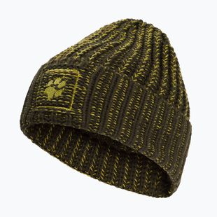 Cappello invernale Jack Wolfskin Badge Beanie obsidian moss