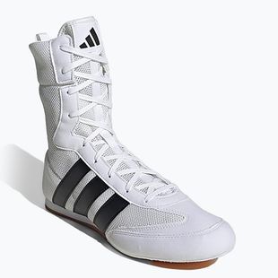 Scarpe da boxe adidas Box Hog Classic white