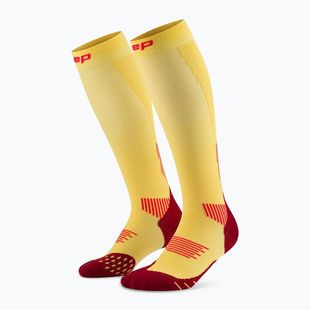 CEP Run Tall 5.0 calze a compressione da uomo color calendula/bordeaux
