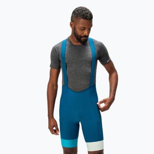Pantaloncini da ciclismo Endura Loop Bibshort da uomo, blu barra