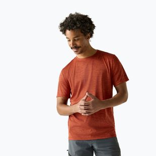 Maglietta da trekking da uomo REGATTA Fingal Edition rusty orange