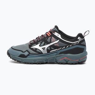 Scarpe da uomo Mizuno Wave Daichi LS stormy weather/silver