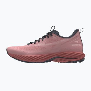 Scarpe da running donna Mizuno Wave Rider TT 3 rose elegance/pinkesque/faded rose