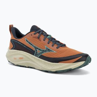 Scarpe da running uomo Mizuno Neo Lumina sunburn/gobling green/summer sand