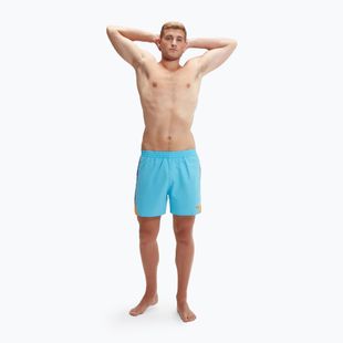 Speedo Hyperboom Splice 16" pantaloncini da bagno da uomo blu picton / cobalto vero / buccia di mandarino