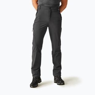 Pantaloni da trekking da uomo REGATTA Travel Light Packaway cenere