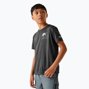 Maglietta da bambino REGATTA Alvarado IX seal grigio marna