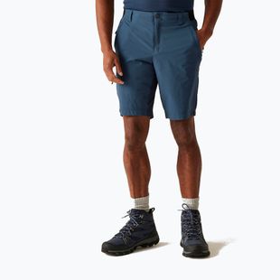 Pantaloncini da trekking da uomo REGATTA Eldes moonlight denim/navy