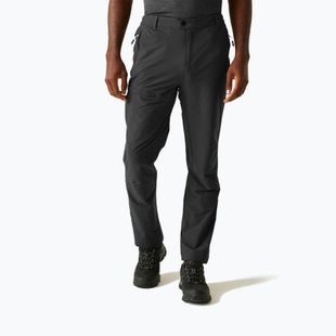 Pantaloni da trekking da uomo REGATTA Highton II ash