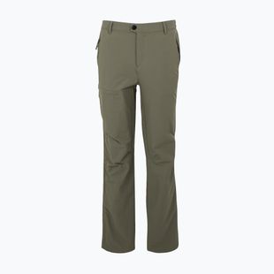Pantaloni da trekking da uomo REGATTA Highton II treetop