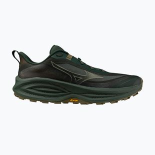 Scarpe da corsa uomo Mizuno Neo Daichi 10 Gtx sycamore/sea spray/martini olive