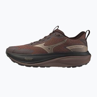 Scarpe da corsa donna Mizuno Wave Rider Tt 4 peppercorn/simply taupe/black