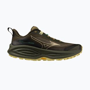 Scarpe da corsa donna Mizuno Neo Daichi 10 Gtx forest night/silver fern/beechnut