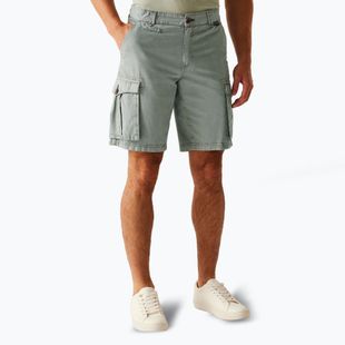 Pantaloncini da trekking da uomo REGATTA Shorebay II grigio tempesta