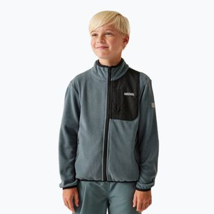 Felpa in pile da bambino REGATTA Frankie Full Zip tempo burrascoso