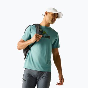 Maglietta da trekking da uomo REGATTA Fingal arctic