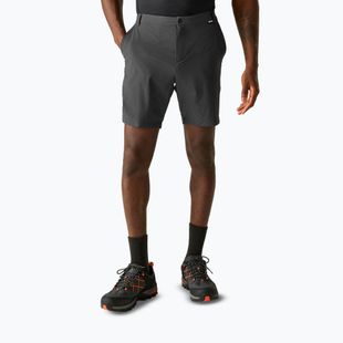 Pantaloncini da trekking da uomo REGATTA Anti Insect Travel Light ash