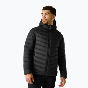 Giacca imbottita da uomo Dare 2b Torrek Padded Jacket black/black