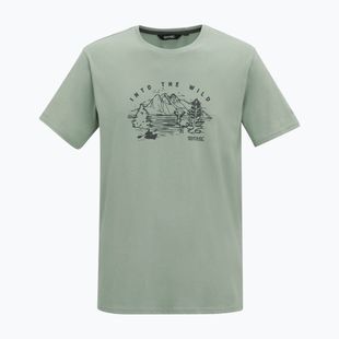 T-shirt da uomo Regatta ClineIX glacier wild scene