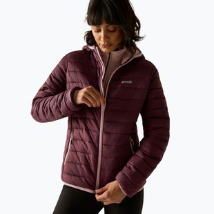 Piumino donna Regatta Hooded Marizion fig