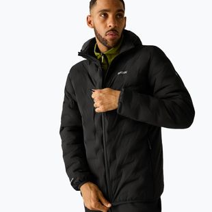 Giacca imbottita da uomo REGATTA Astrel black
