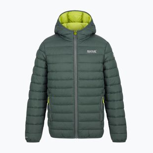 Piumino bambino REGATTA Hooded Marizion dark forest green/wild lime