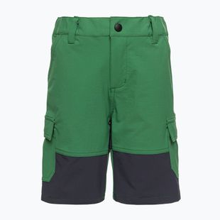 Pantaloncini da trekking per bambini LEGO Lwpayton 300 verde
