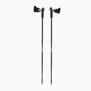 Bastoncini da nordic walking Viking Lite Pro grigio