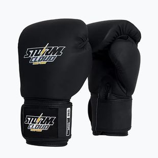 Guantoni da boxe StormCloud Blizzard black