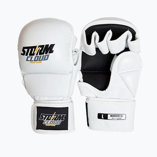 Guanti da grappling StormCloud Hurricane white/black