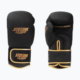Guantoni da boxe StormCloud Boxing Pro black/gold