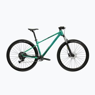 Bicicletta da montagna KROSS Level X100 green/black/matte