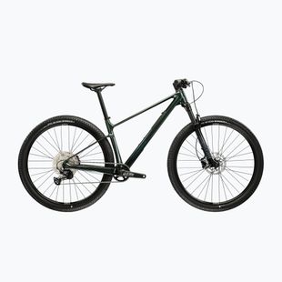 Bicicletta da montagna KROSS Level RS 1.0 green/chameleon/gloss