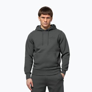 Felpa da uomo Pitbull Sampson Hooded Sweatshirt grey/green