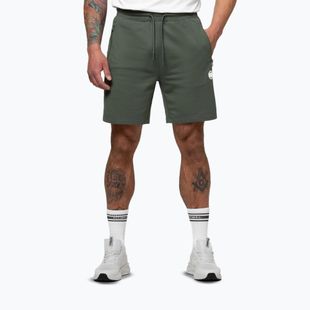 Pantaloncini da uomo Pitbull Nugget Small Logo sage green
