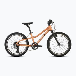 Bicicletta per bambini ATTABO RASH 20" rame