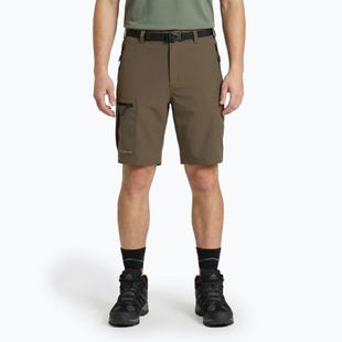 Pantaloncini da uomo KADVA Seto brown