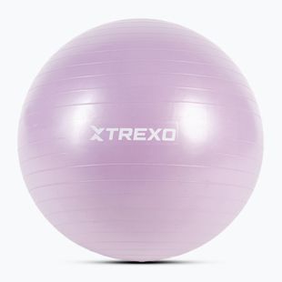 Palla da ginnastica XTREXO TXO-B4Z008-VT 65 cm viola