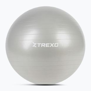 XTREXO Gymball TXO-B4Z009-GY 75 cm grigio